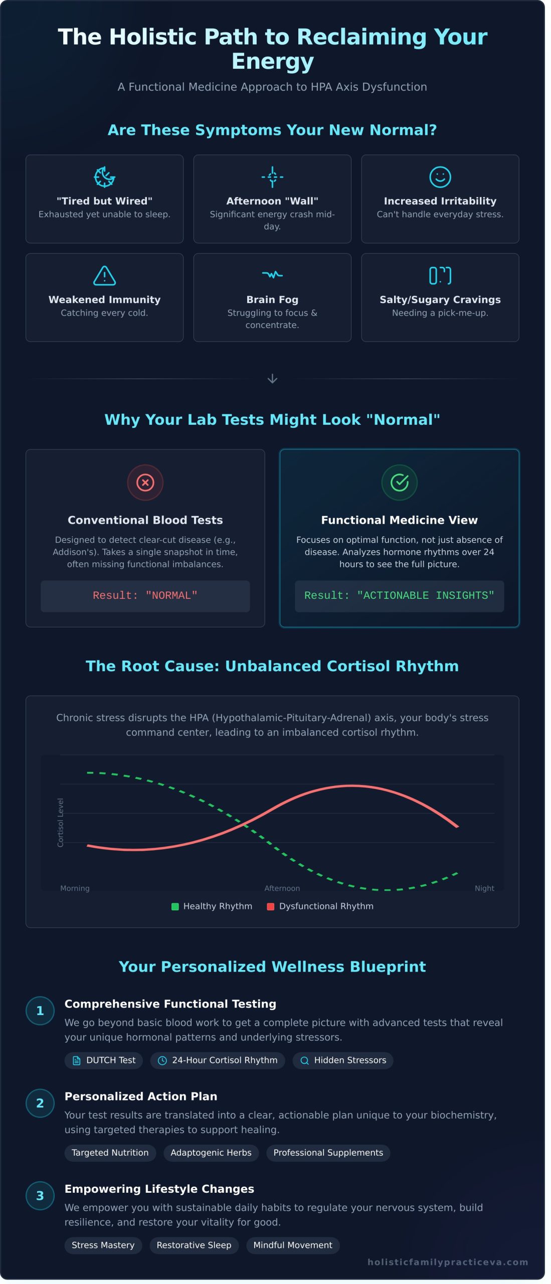 Find Your Adrenal Fatigue Doctor in Virginia Beach: A Holistic Path to Restored Energy - Infographic