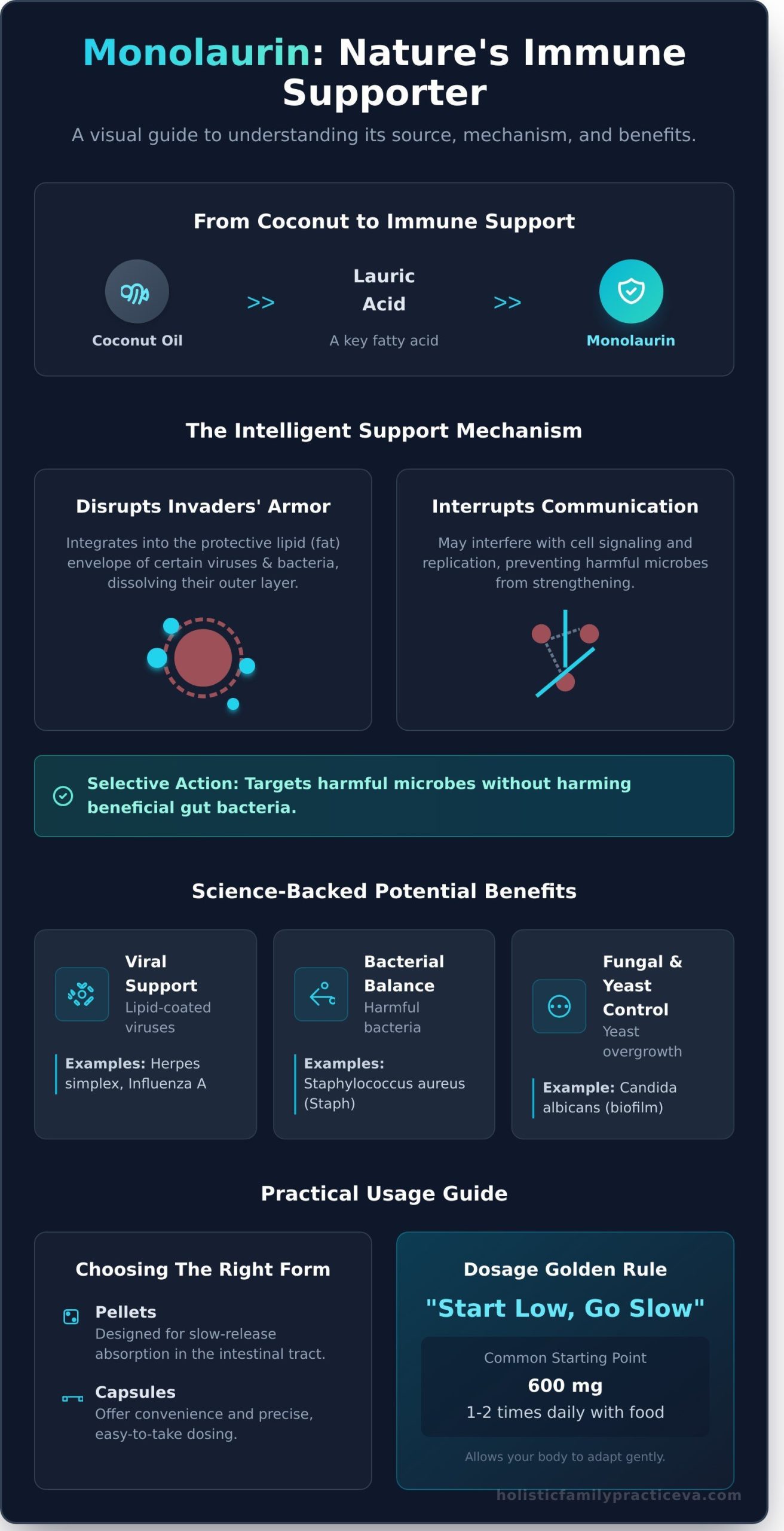Monolaurin Benefits: A Holistic Guide to This Natural Immune Supporter - Infographic