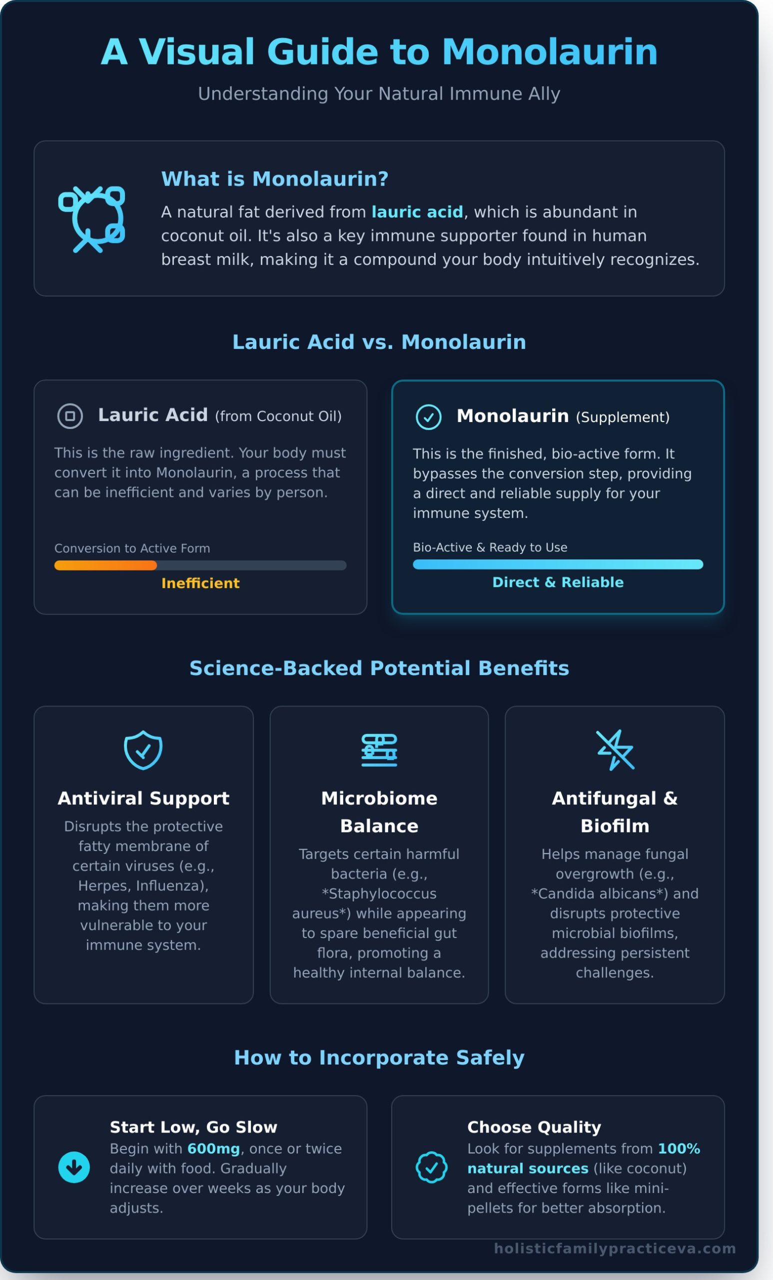 Monolaurin Benefits: A Holistic Guide to This Natural Immune Supporter - Infographic