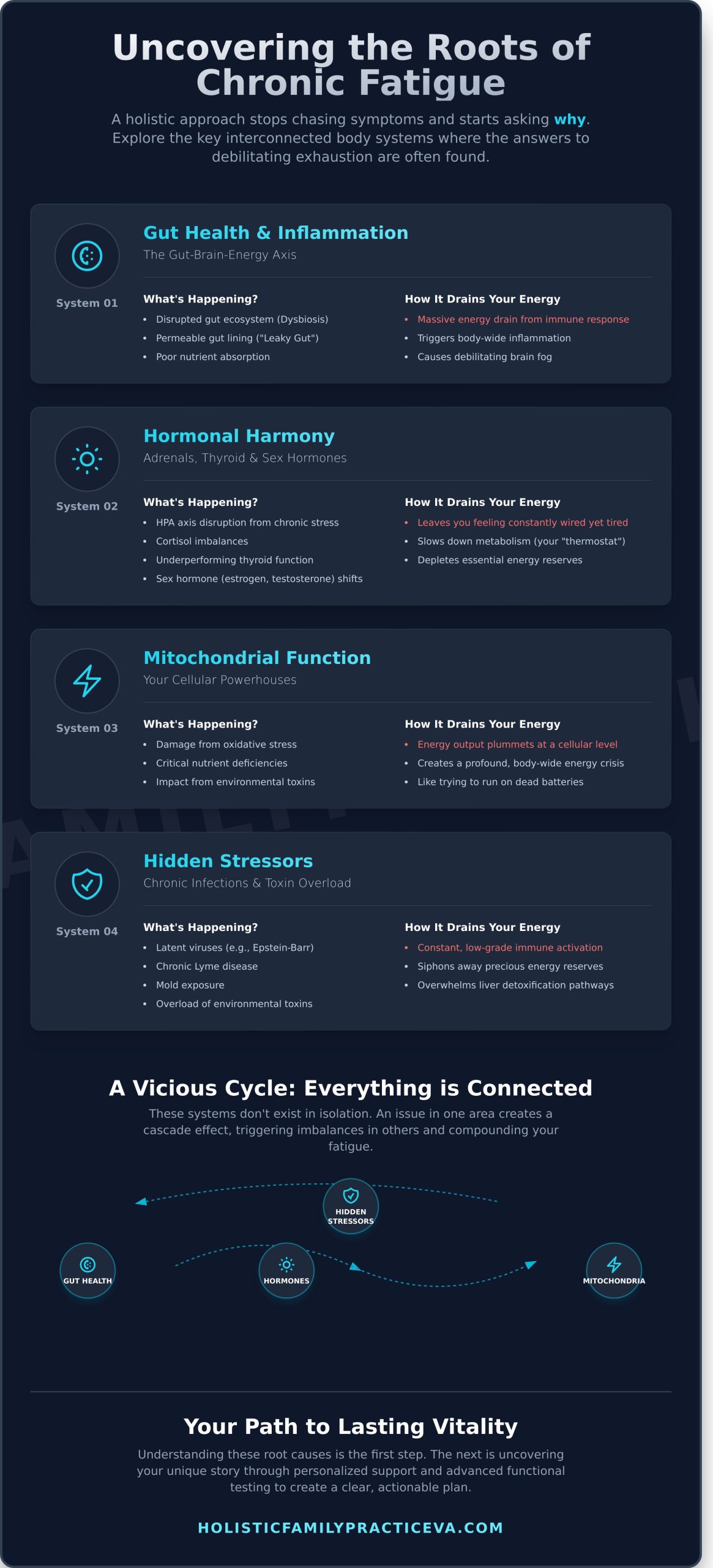 A Holistic Approach to Chronic Fatigue: Reclaiming Your Energy and Vitality - Infographic