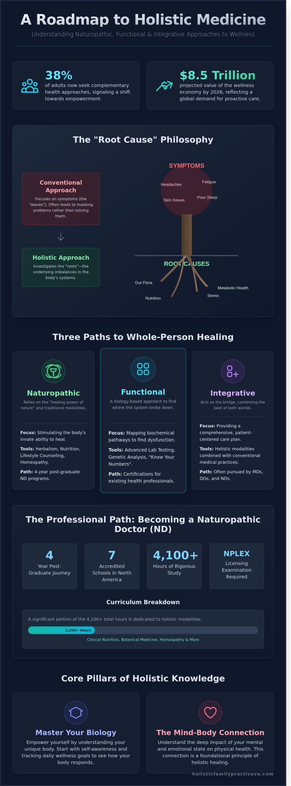 Learning Holistic Medicine: Paths to Professional Mastery and Personal Advocacy - Infographic